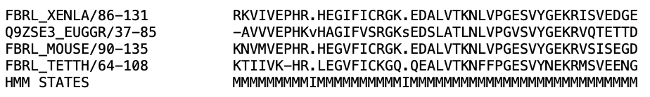 _images/alignment1.png