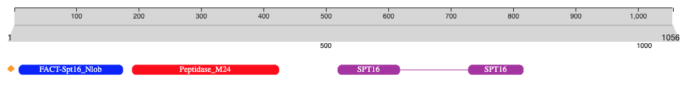 _images/nightingale_dom_graph.png